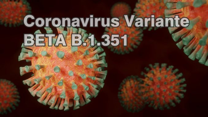 Südafrikanische Coronavirus SARS-CoV-2 Variante Beta B1351