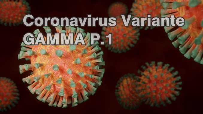 Brasilianische Coronavirus SARS-CoV-2 Variante Gamma P1